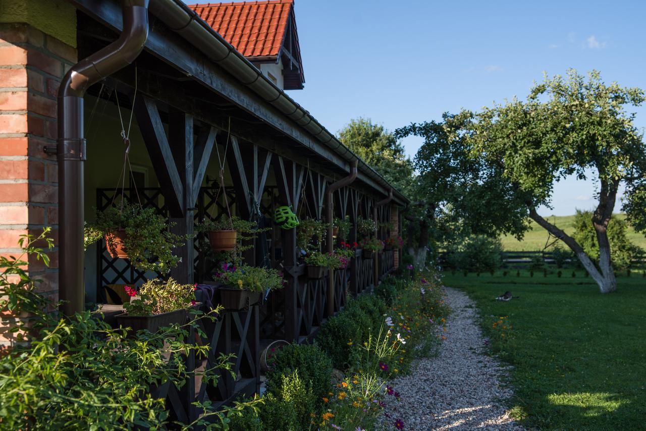 Vila Siedlisko Sabinowo Węgorzewo Exteriér fotografie